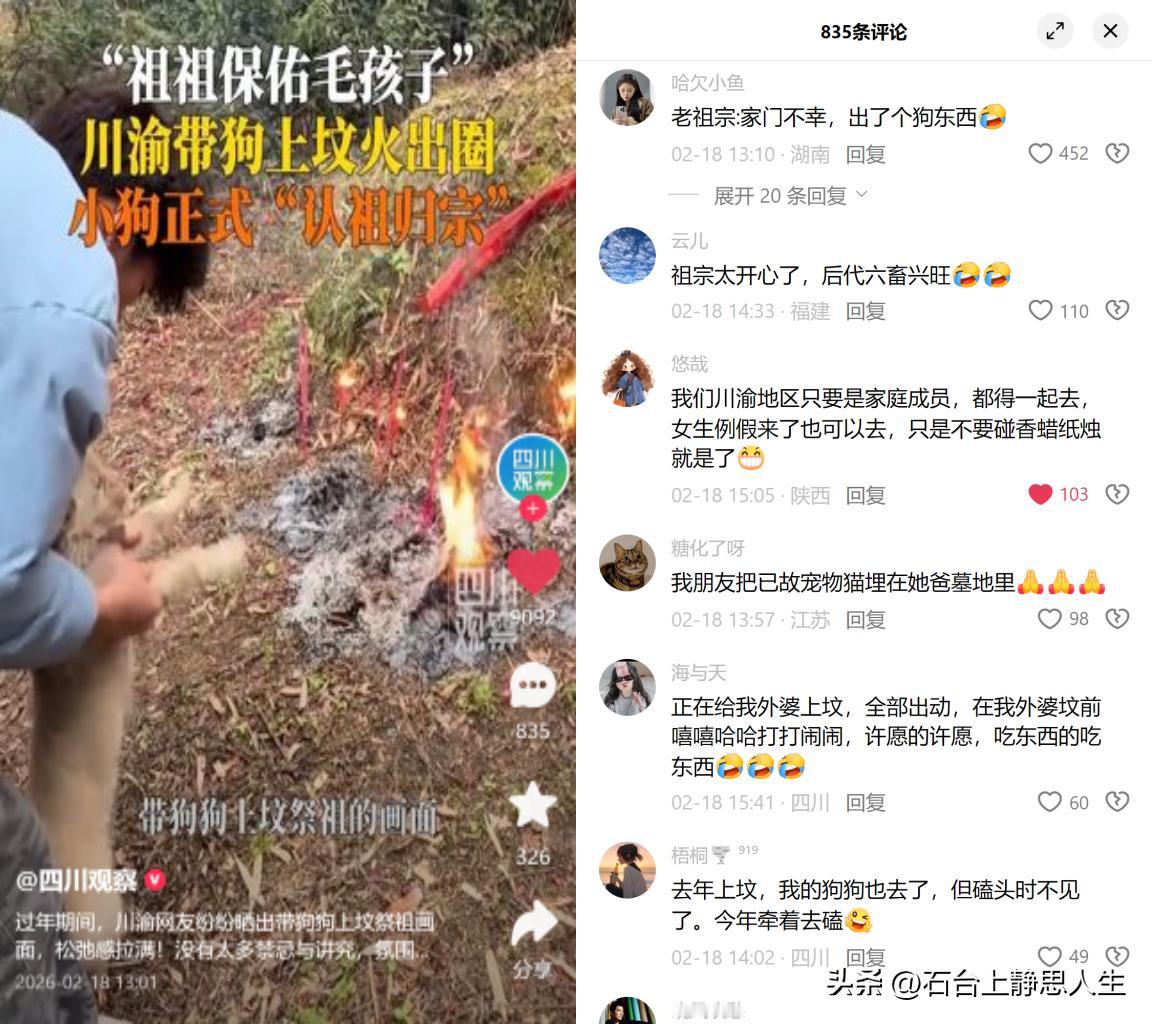 川渝人带狗上坟火出圈！

春节期间好多川渝人晒视频，带自家狗狗去上坟祭祖，还