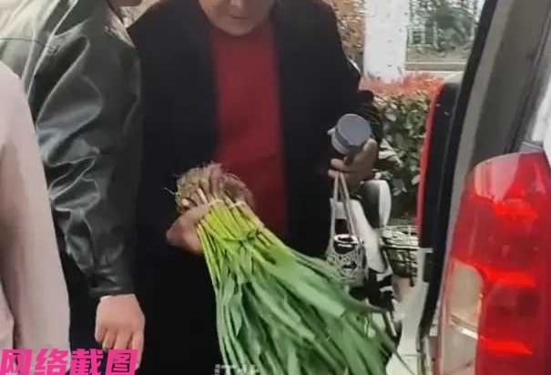安徽蚌埠有老人种了大蒜苗，但却卖不出去，这看老人的儿子就直接拉到城里一元一把出售