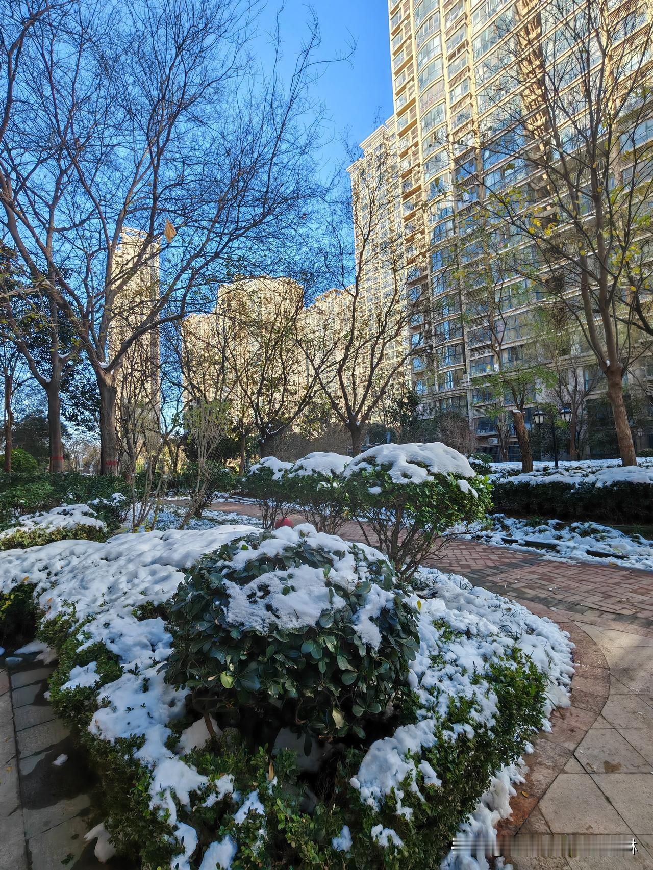 周末，回家探望爸妈，老爸说最近经常去社区食堂，饭菜干净，价格合理，关键是很方便，