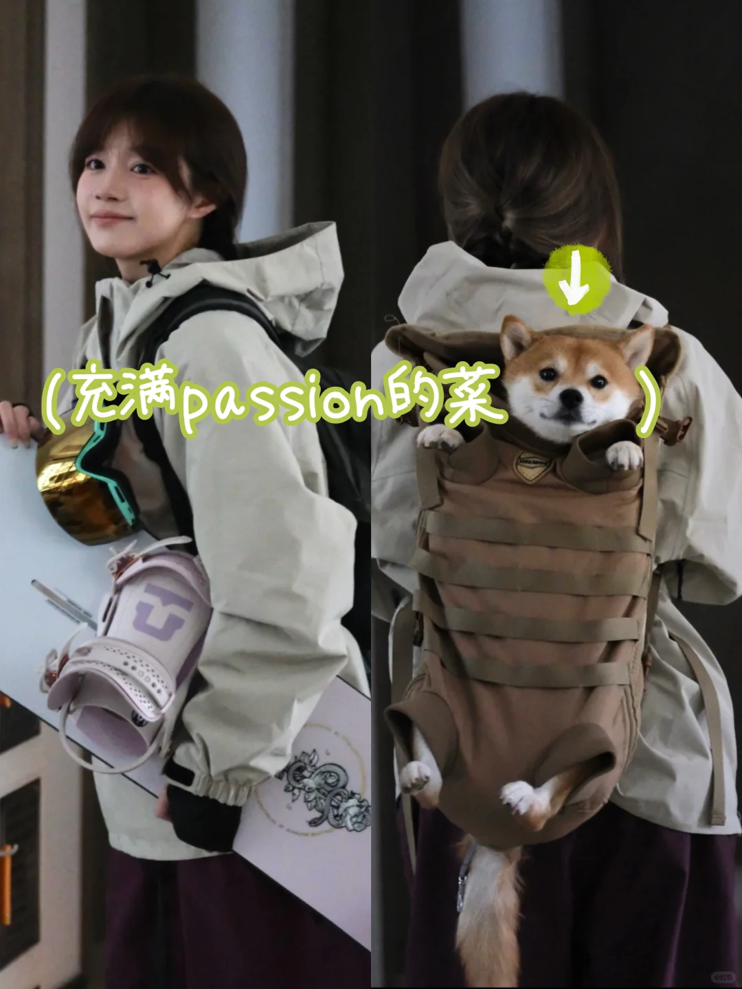 我+狗=菜狗（充满passion版