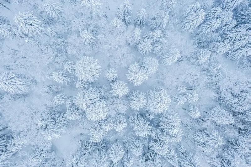 云端的雪（现代诗）
 
我们是云端飘下的白
轻得没一丝尘埃
带着天的透明
落向烟