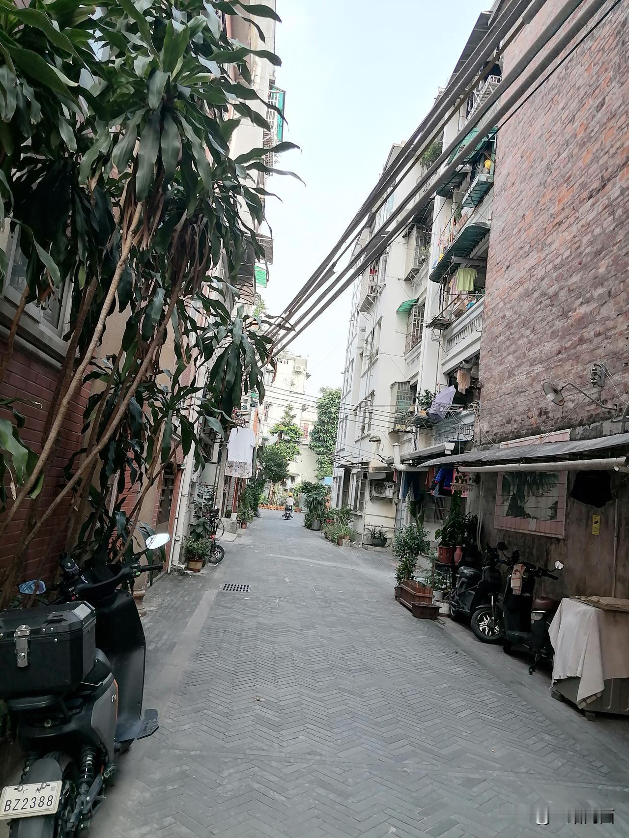 广州东山口太适合游玩打卡了！这里是潮流最前线，有很多上个世纪的建筑。像那栋种满植