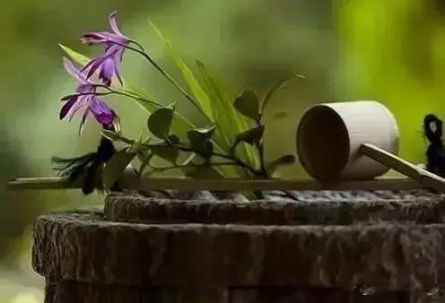 #情感#             《无题》晓霁心始安，风吼夏亦寒。残阳来霁岫，月