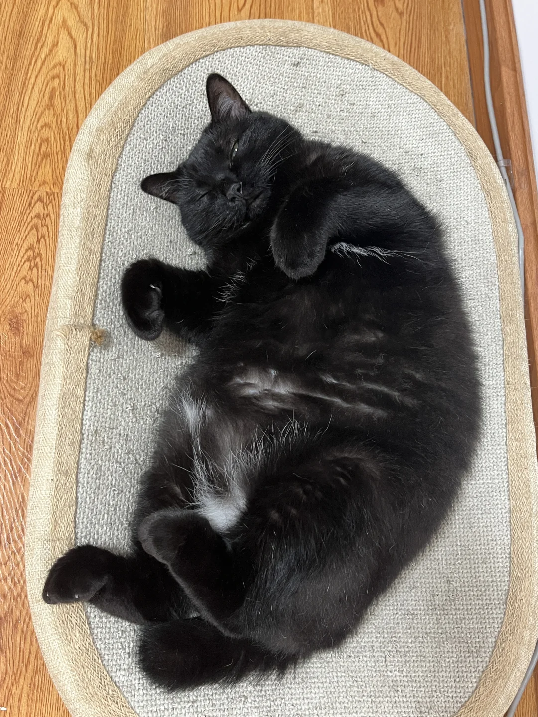 不知道 咪的身材很曼妙