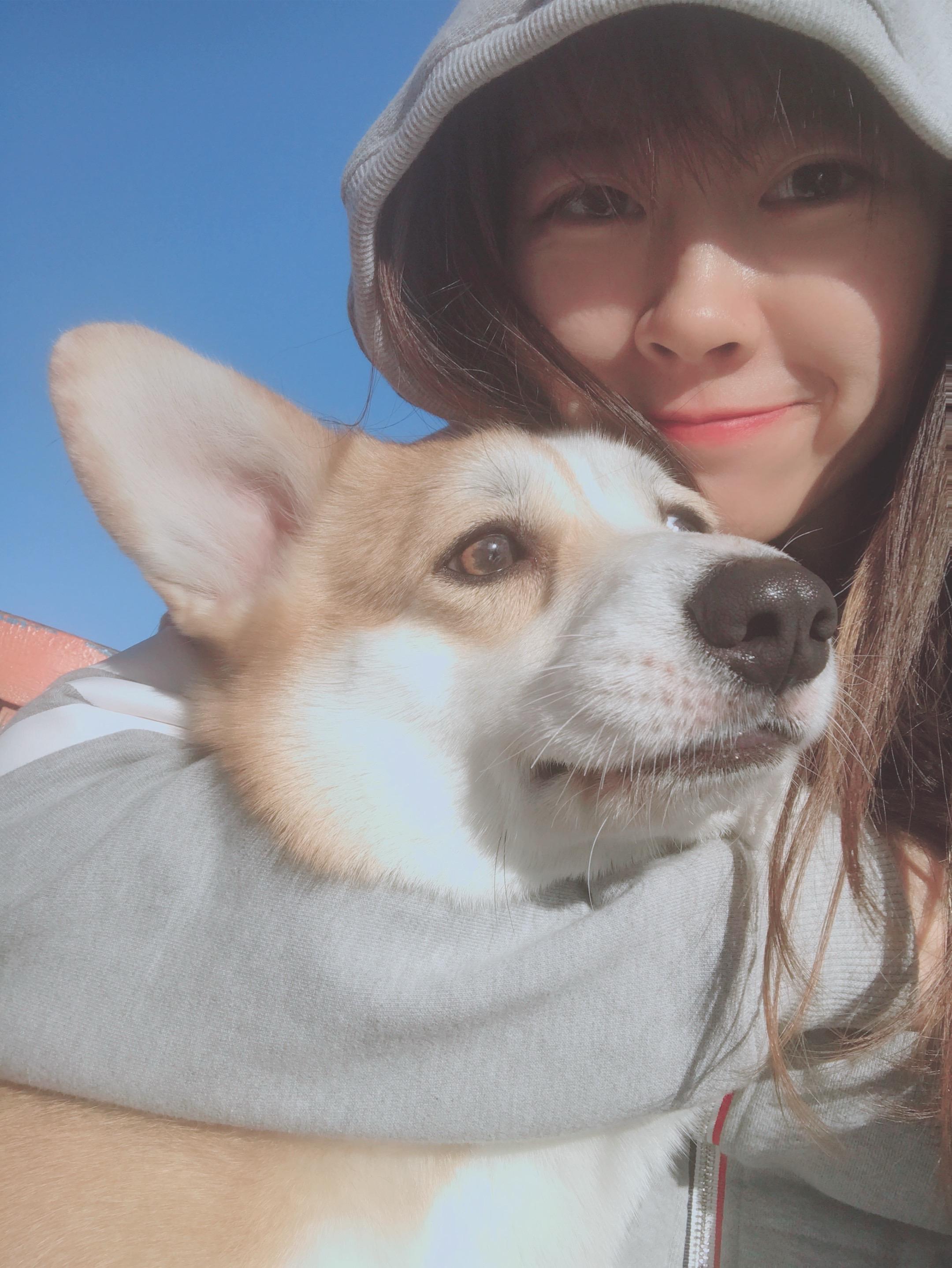 最最最爱宝贝 我可爱的小狗。