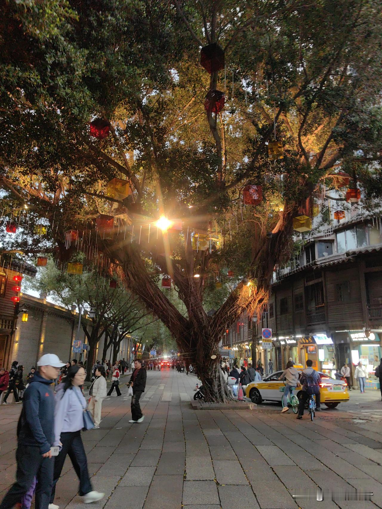 除夕的福州三坊七巷，人多到快要走不动道儿了。一棵桃心树很有意思，枝叶散开成了很完