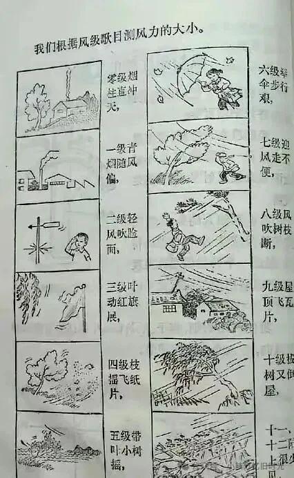八零后的朋友们，还记得这张自然课本里的风力插图吗？
这张简简单单的插画，藏着我们