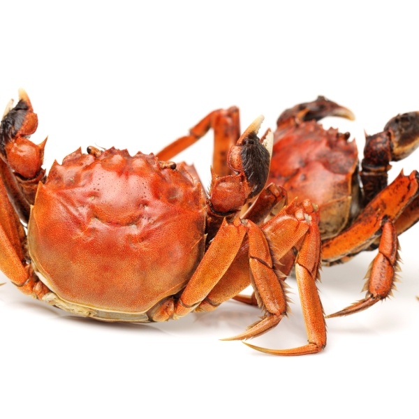 买蟹避坑，关键看三点：一看防伪蟹扣，查官方标识验明正身；二捏蟹腿，饱满紧实为佳，