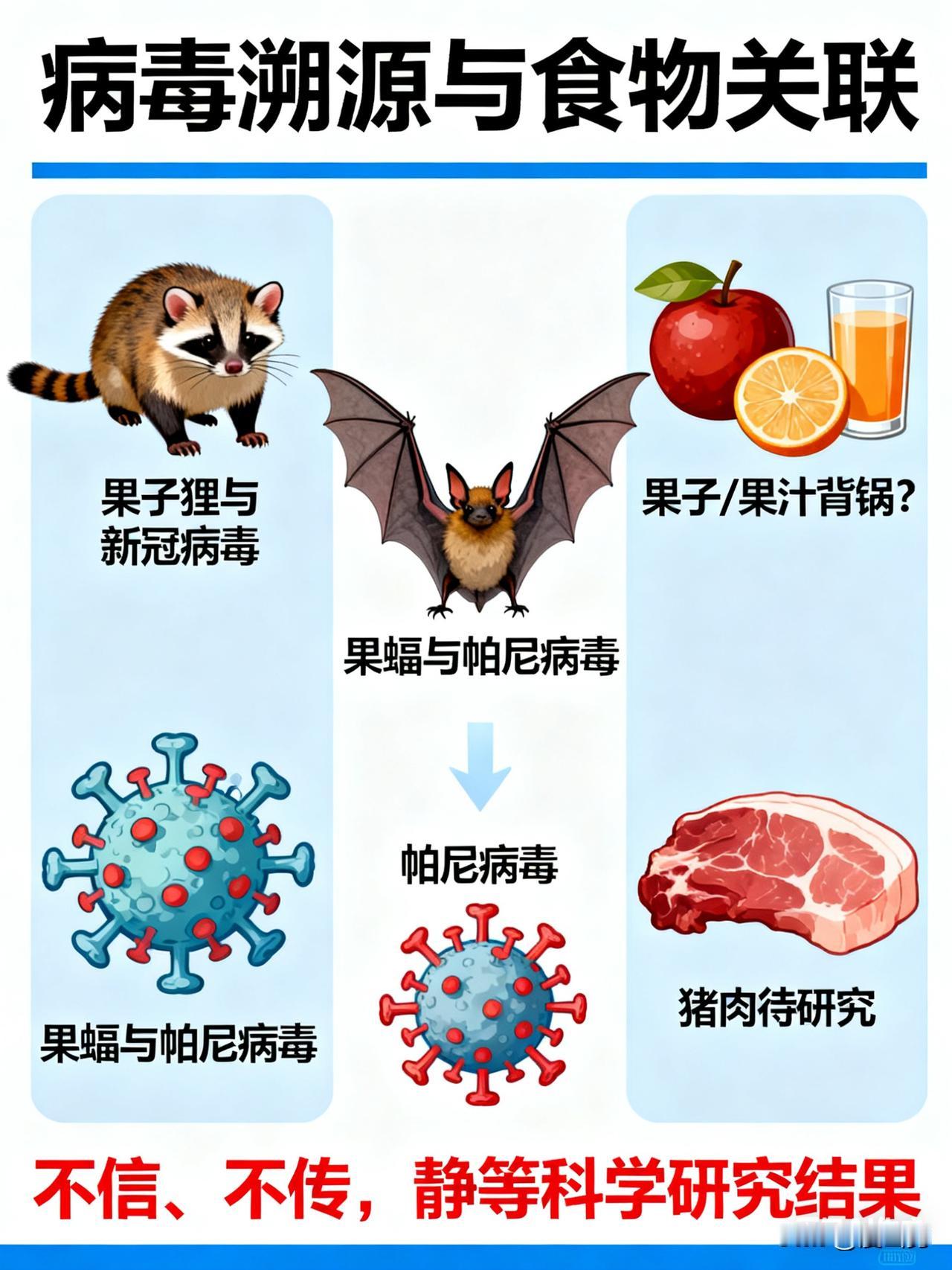 果子狸与新冠病毒

果蝠与帕尼病毒

又与果子有关

果子，果汁，又要背锅了？还