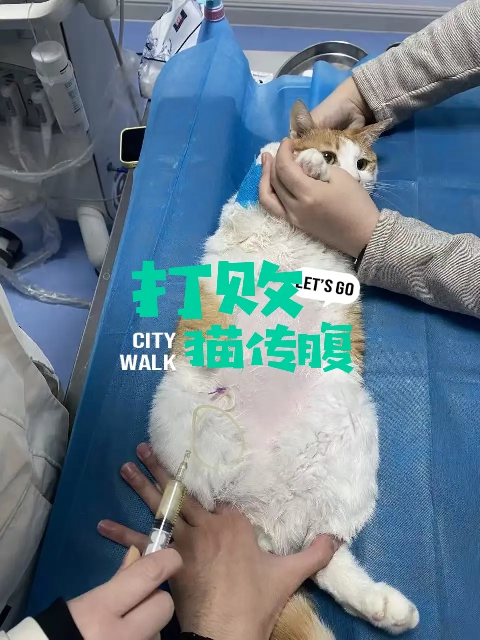 妈妈的爱比死神先到。从肾衰病危到三天进食七天消腹水，到一个多月的超级跑...