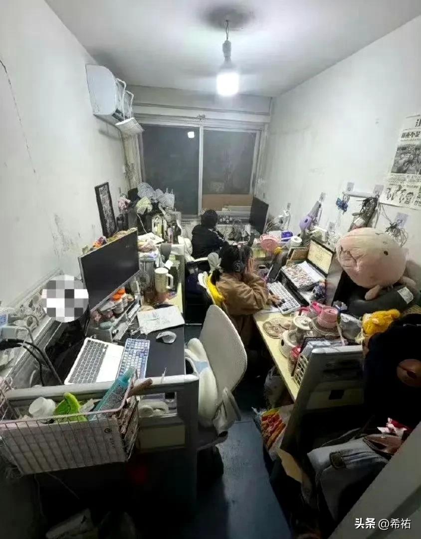 初创的企业，大概就是这个样子，然后画大饼……