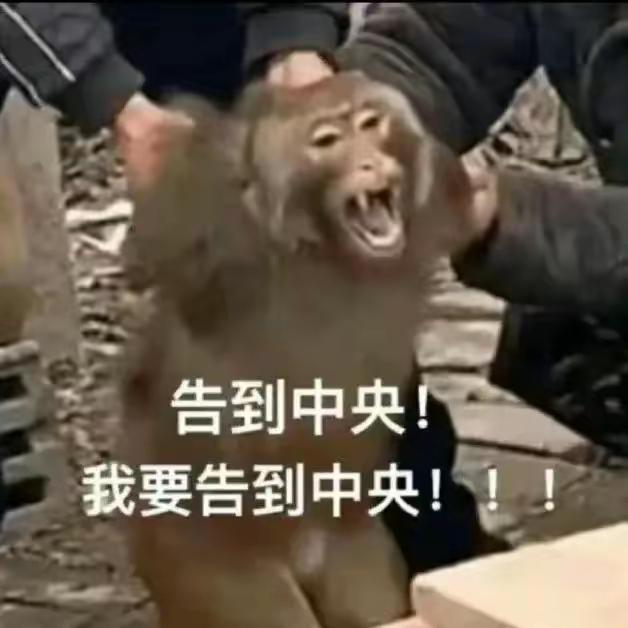 这种女孩就是极端自私自利的心态，没有了公主命，却得了公主的病，明知道是自己的错，