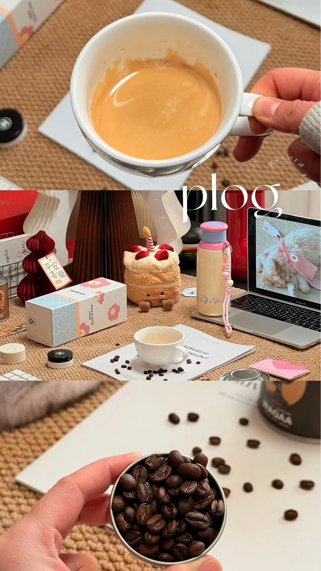 My life|咖啡日常☕️