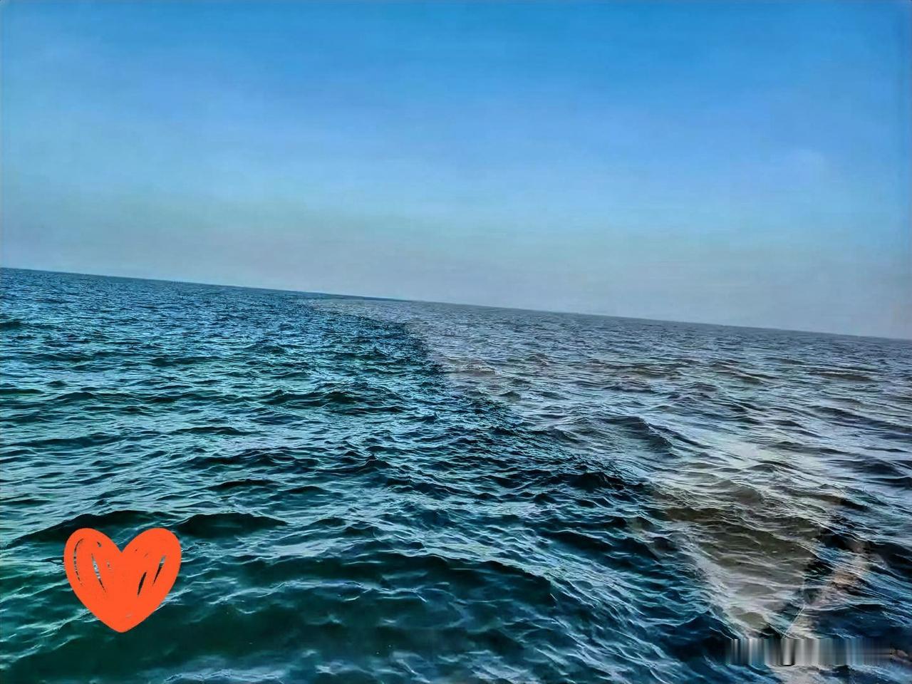 今天坐在船上，亲眼看见这水被分成两半——一边是清得发蓝的，一边是浑得发灰的，就像