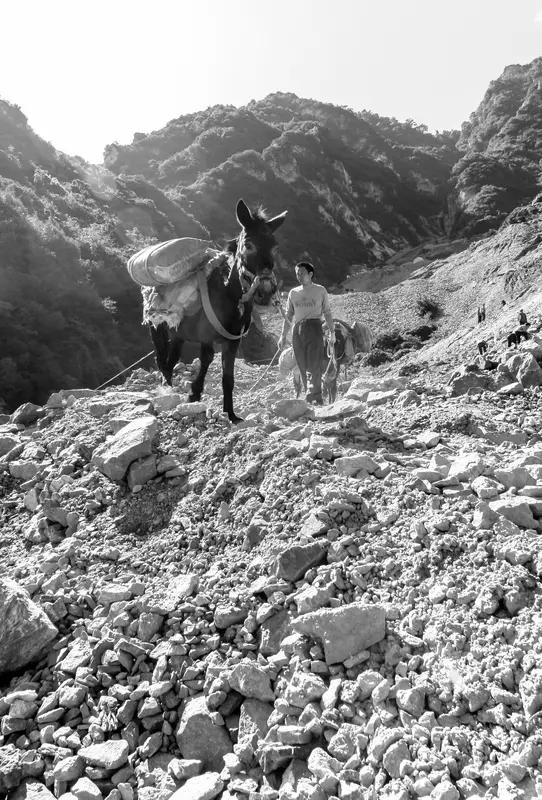 上联：几经风雨情犹重，如何对下联历尽磨难志还坚
