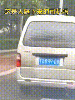 人家一启动，你一动也不敢动！


前车一脚油门，一溜烟就不见了，仿佛把美女也一并