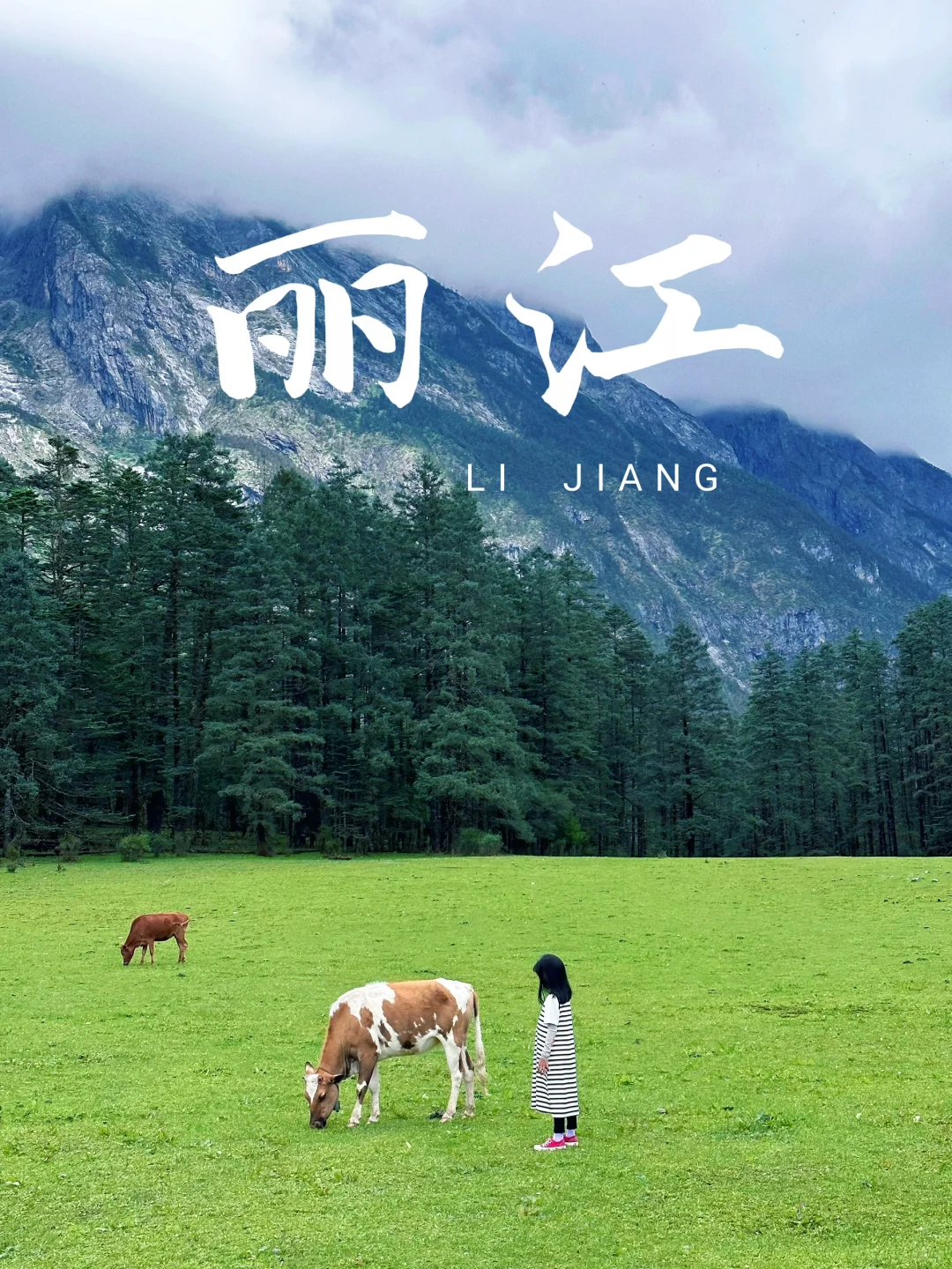 丽江，我来啦～