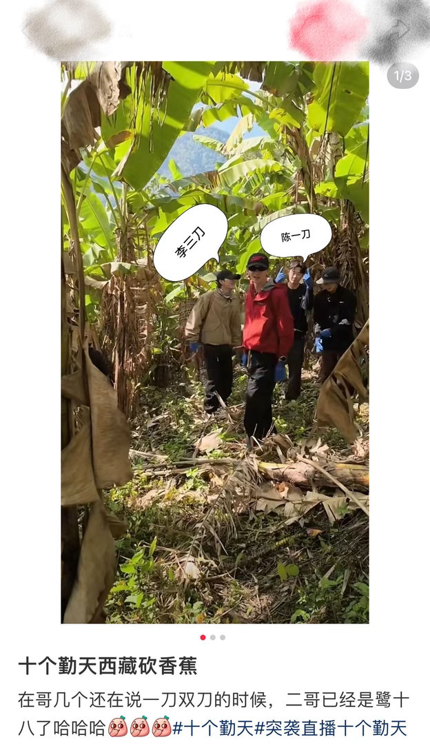 十个勤天十个刀郎 瞬间被“十个刀郎”笑到哈哈哈哈哈哈哈，大家砍蕉的样子太有个性了