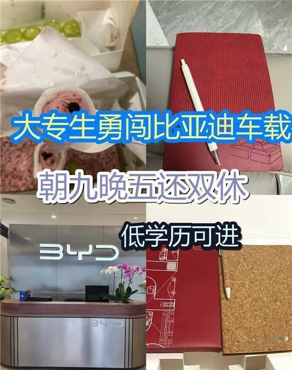 迷茫期真的可以看看车载测试
车载测试 转行 大专生 测试 软件测试 车载测试工程