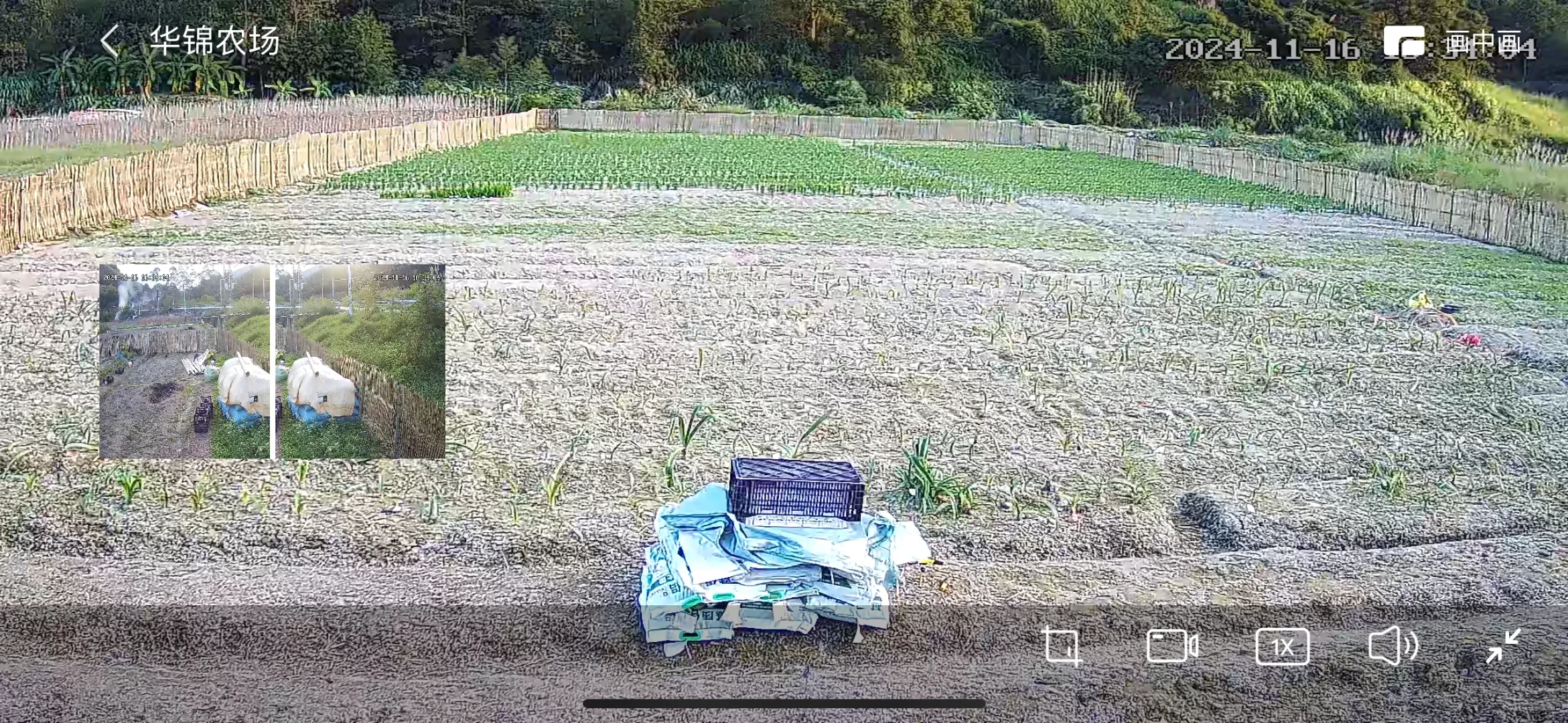 这块荒地从杂草丛生到整整齐齐就一个多月