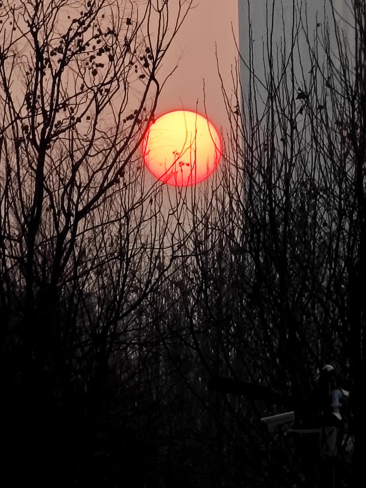 都说冬天的太阳懒，果不然。早上六点多天就亮了，可要到七点多才出太阳。
     