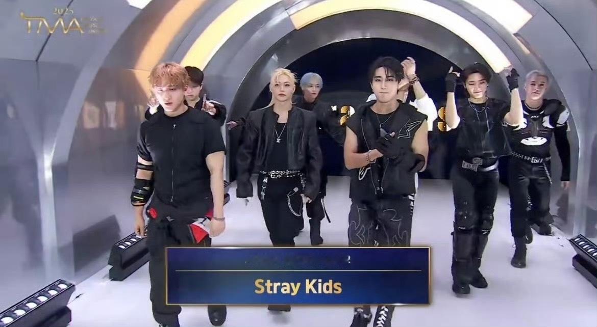 2025年TMA音乐颁奖礼谷歌搜索量kpop组合排名：Straykids Enh