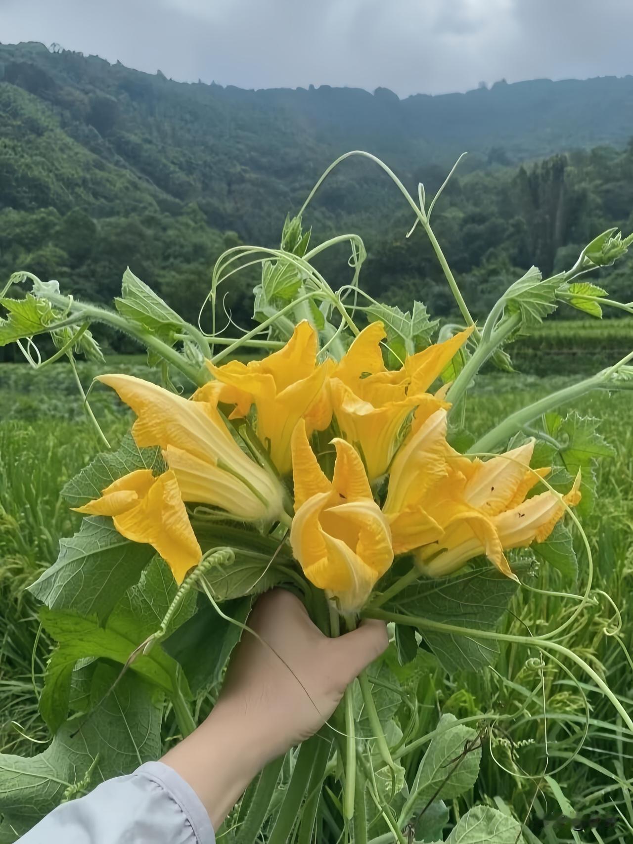人这一辈子
有人说：
舍得舍得，
有舍才有得。
 
人生到处都是取舍，
攥得太紧