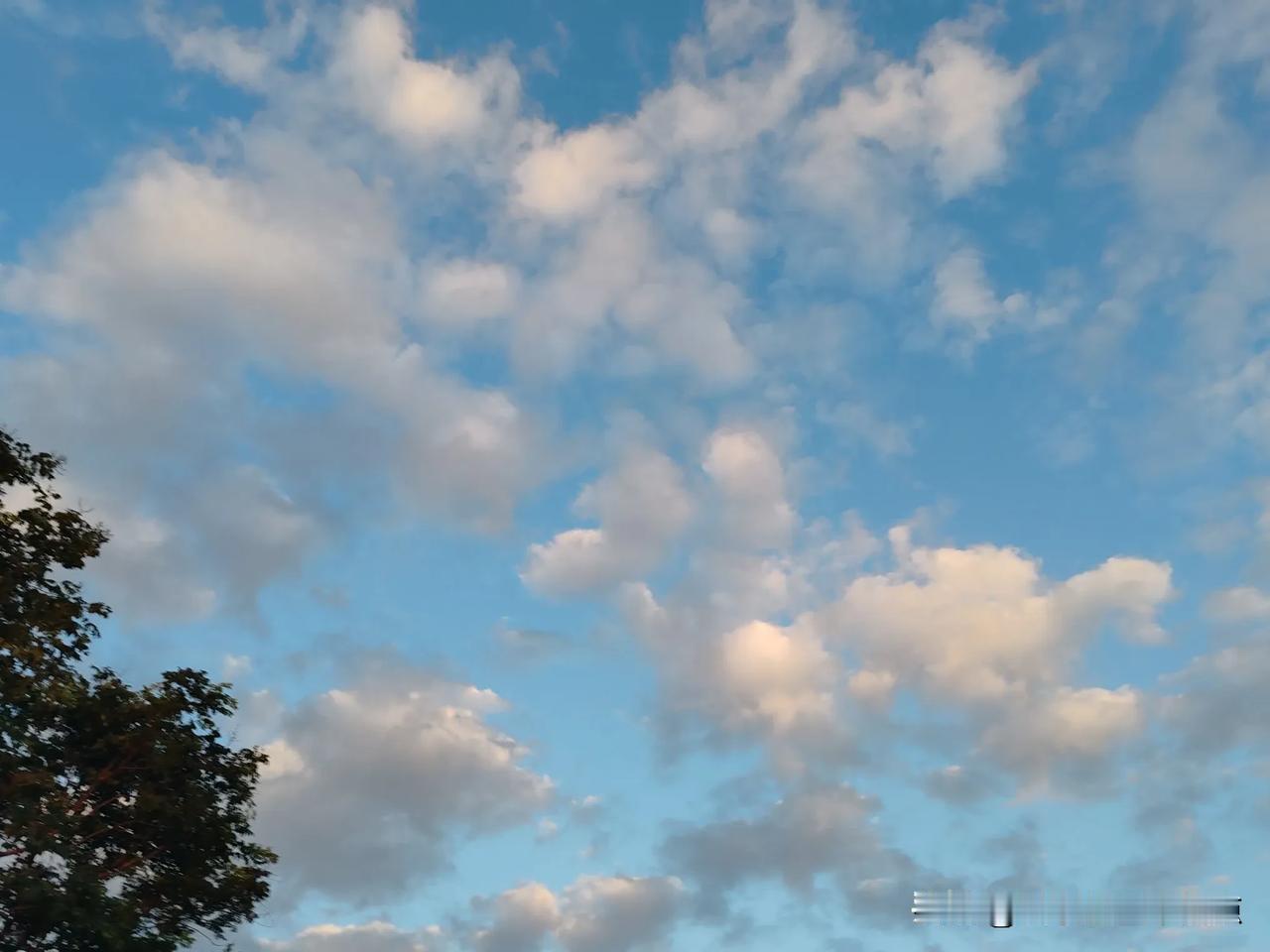 秋高气爽，这天气舒服的有点不像话[灵光一闪][灵光一闪]