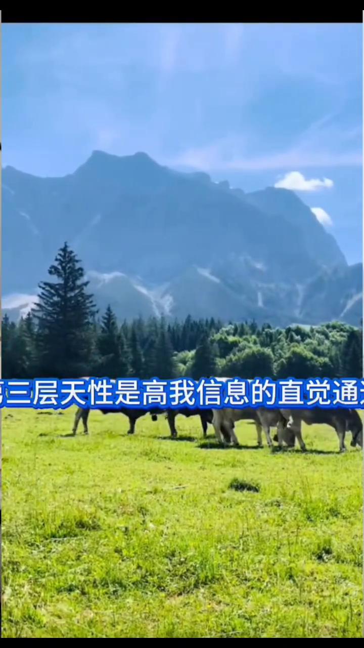 作为一个命师告诉你，其实能量才是决定你一生命运的核心力量。每个人的组成都是源于这