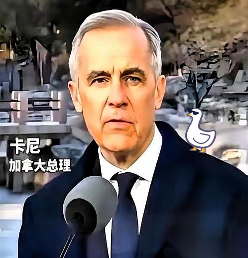 加拿大总理卡尼，亲手撕了剧本。

加拿大电车关税骤降，经销商哭晕在仓库，盟友慌了