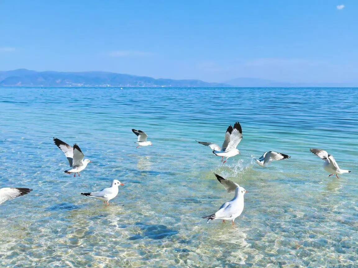 世间规律如同奔涌大河，泥沙俱下、浑浊粗糙，却始终循着既定方向前行，个人再挣扎，也