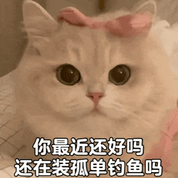 笑对人生，萌沙雕图 #表情包# ​​​