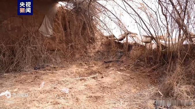 太可怕了！小小年纪就开始有预谋杀人，3月18日，根据邯郸市肥乡区公安局工作人员介