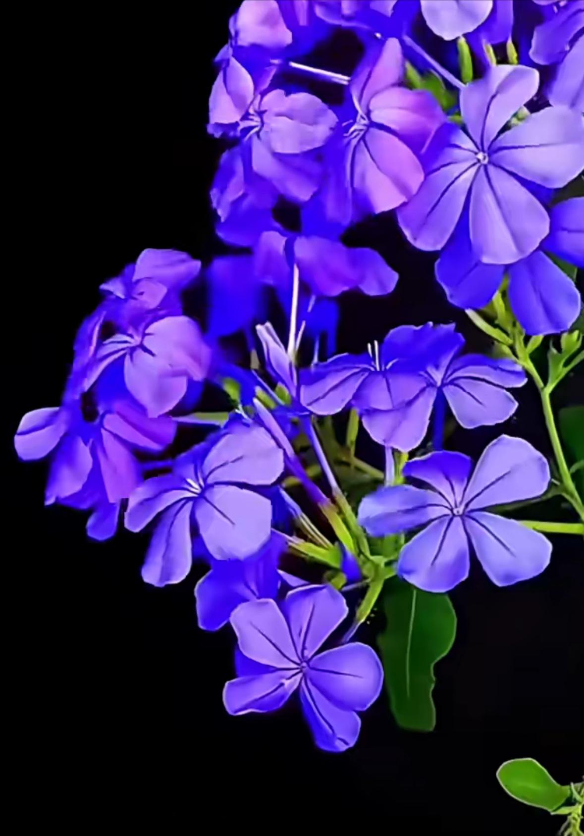 陆铭真专家，谈年轻人拒缴社保的原因，的确是真话，刚走上社会参加工作要面临很多困难