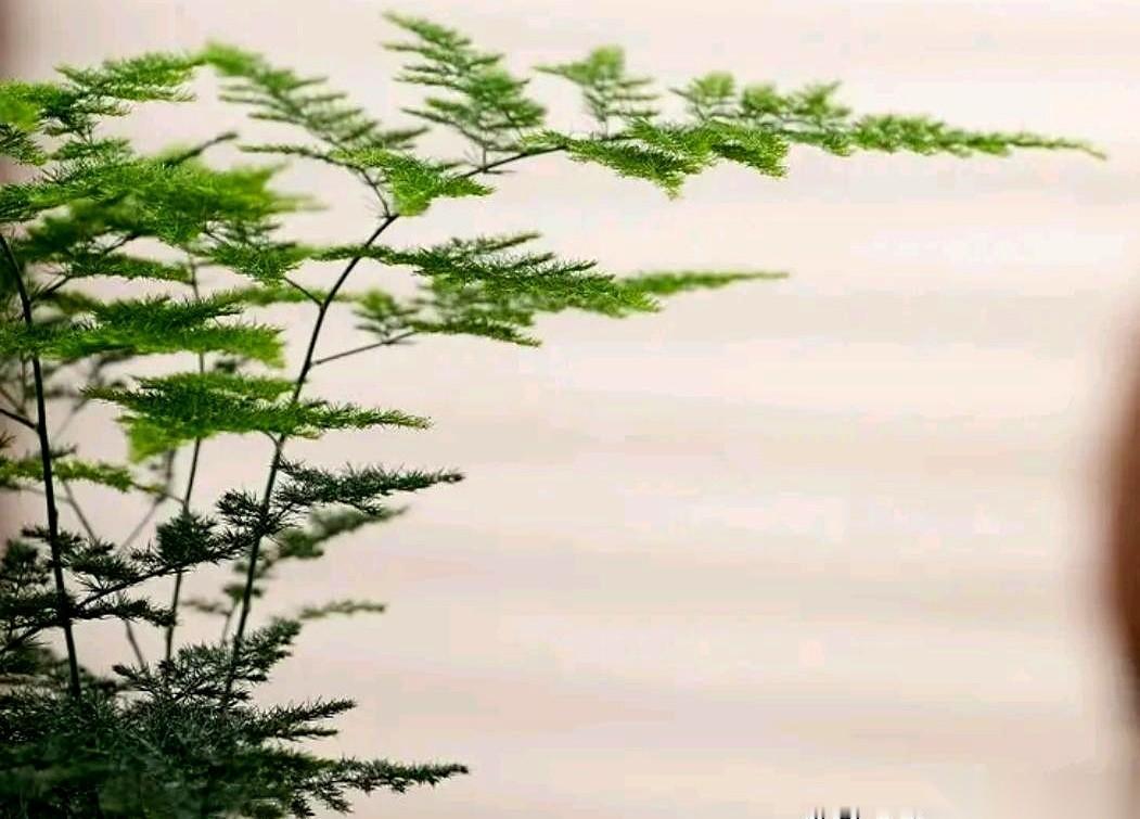 60块。
这是去年收家电的老板，给我那台破笔记本的报价。
今天，110块。还是那