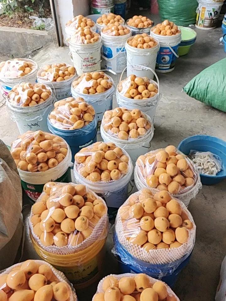 当前正值年报和一季报密集披露期，市场风格正从“炒概念”向“看业绩”切换。明天看好