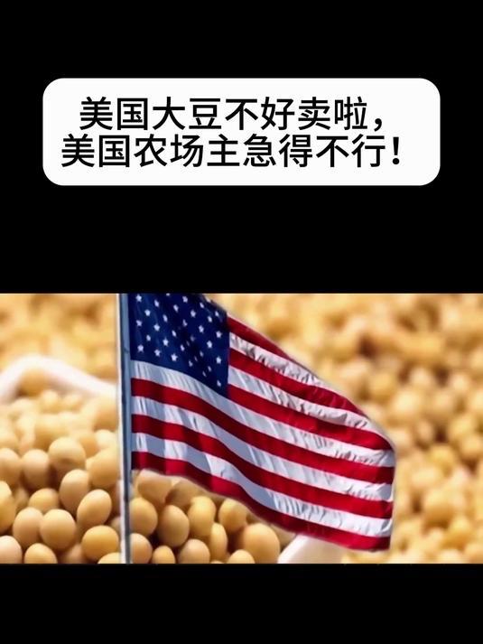 美国的豆农自己组团来参加中国的进博会，推销美国的大豆，美国豆农称大豆就在仓库里，