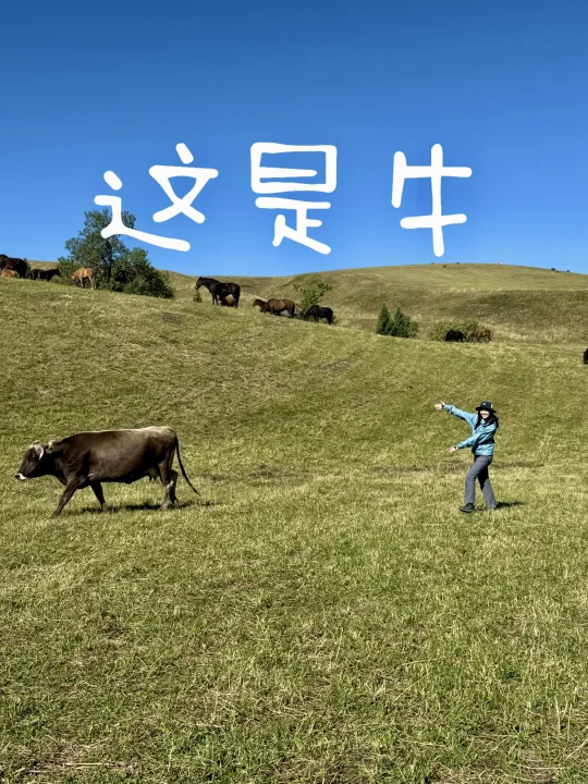 当打工人遇到真牛马📷就要搞抽象