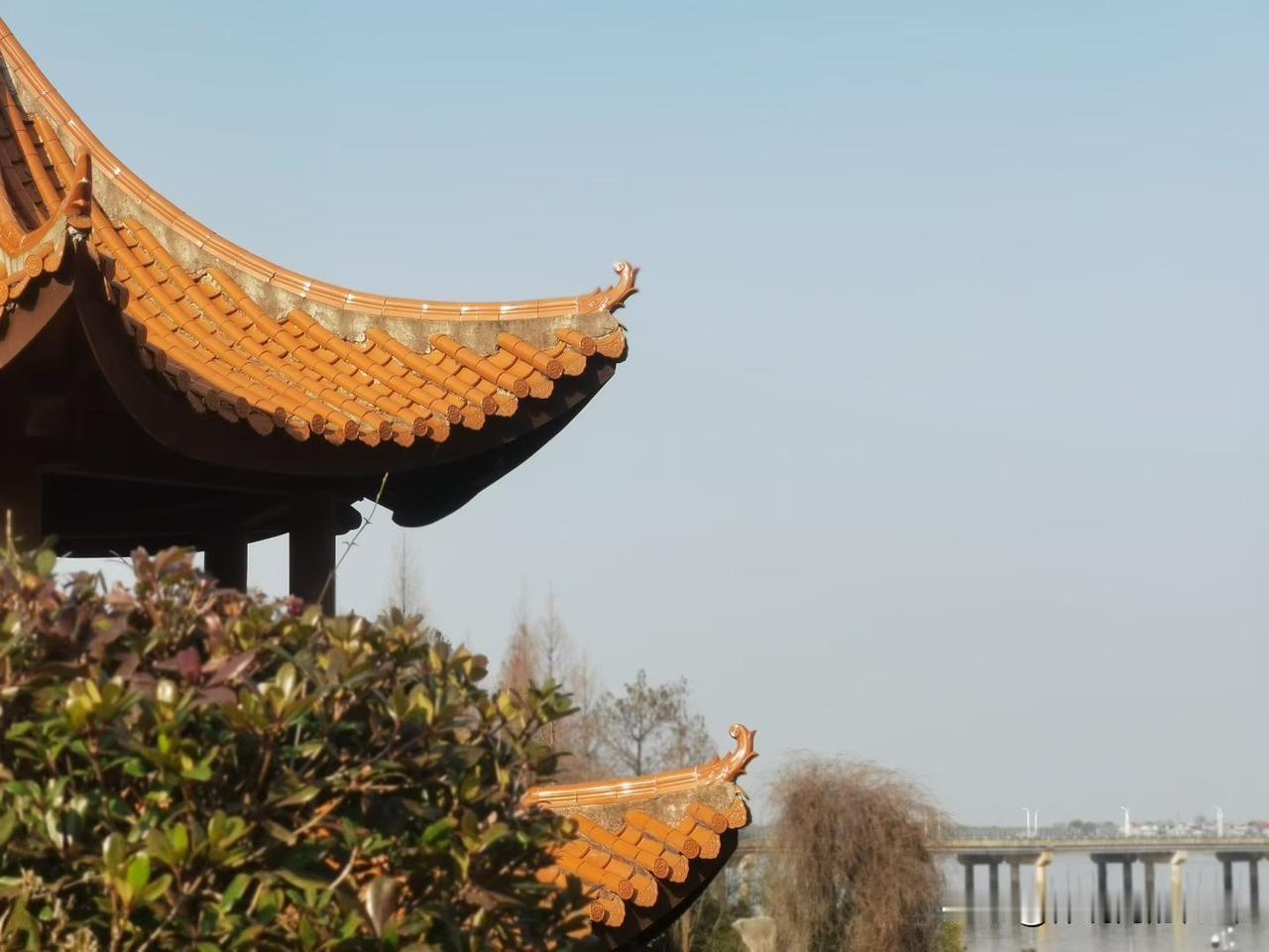 政治，是收尽人心，古往今来无非这一件事。它不是强求万众如一，而是将涓滴的期待，融