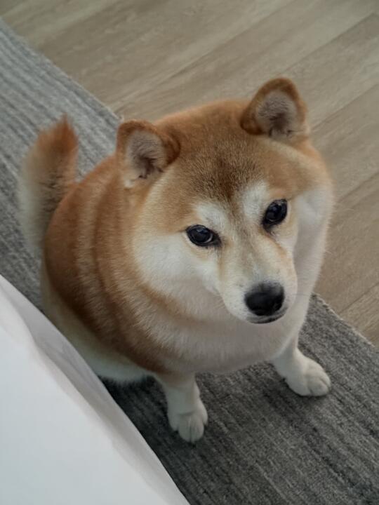 快起床，我饿了