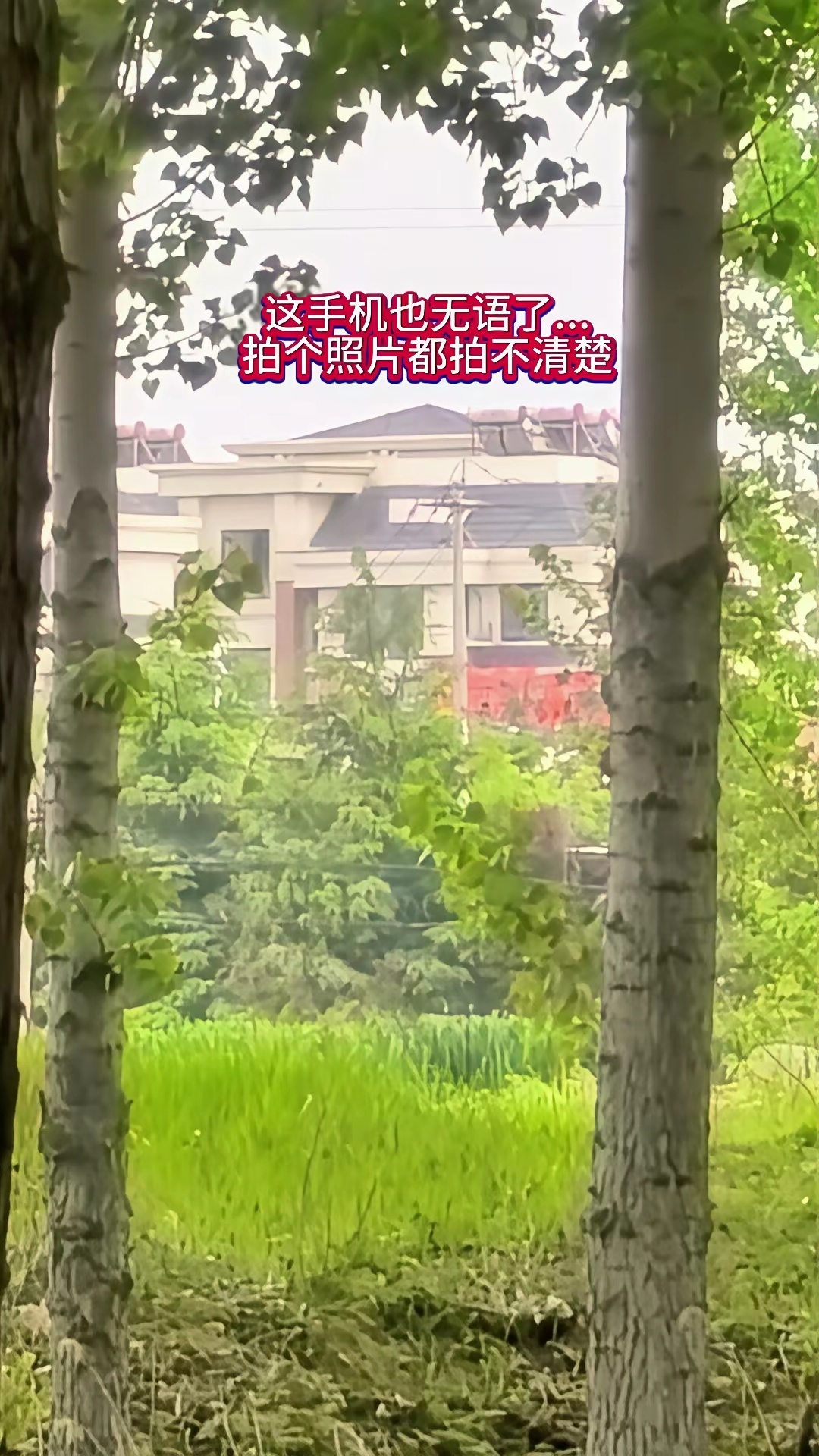 华为手机拍照不清晰？🤔华为手机拍照居然不清晰？本来还挺期待的，结果拍出来的画质