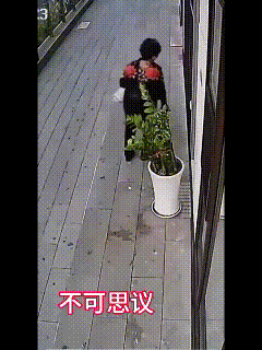 这得有多大的仇？

大妈走在路上，看似漫不经心地停下来，似乎想歇歇脚，其实内心活