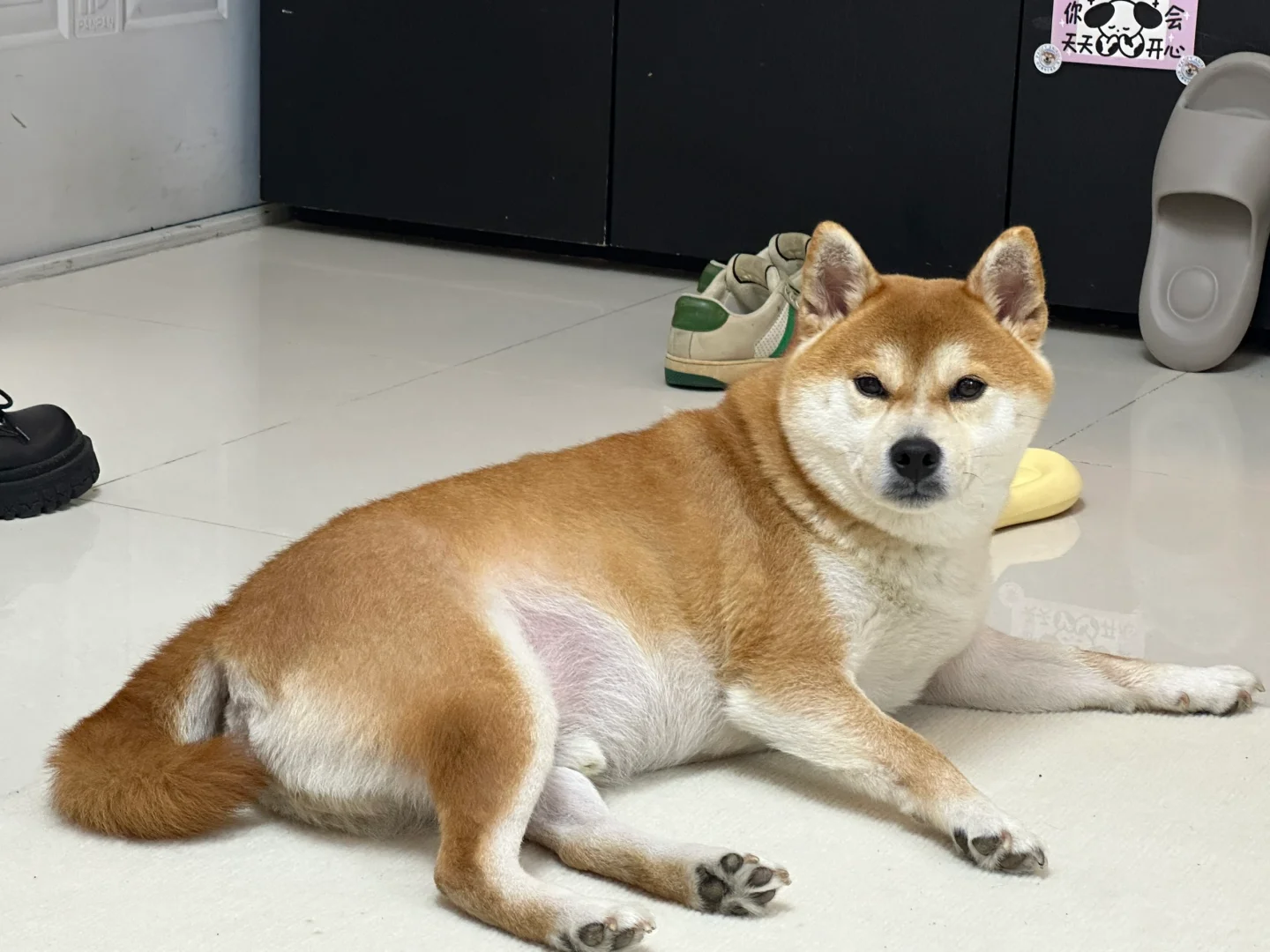 它好慈祥