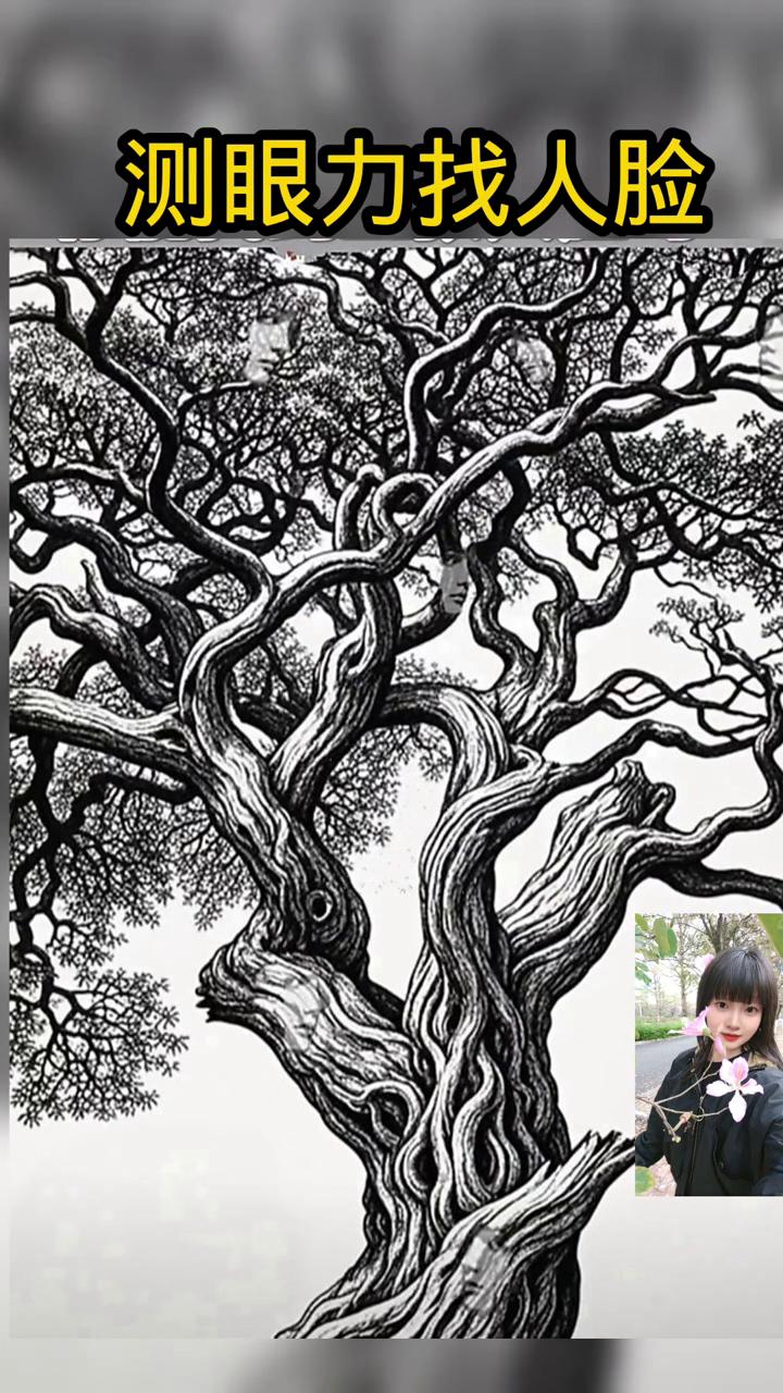 测眼力找人脸。
能找到里面的五张人脸吗？好难，我没有找到。