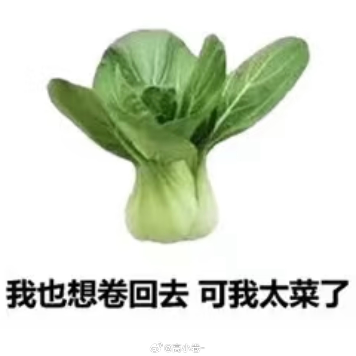 到家了 一屁股瘫沙发不想动氮素刚想起来明早有俩片子要上[泪]坐起来审片子呜呜呜呜