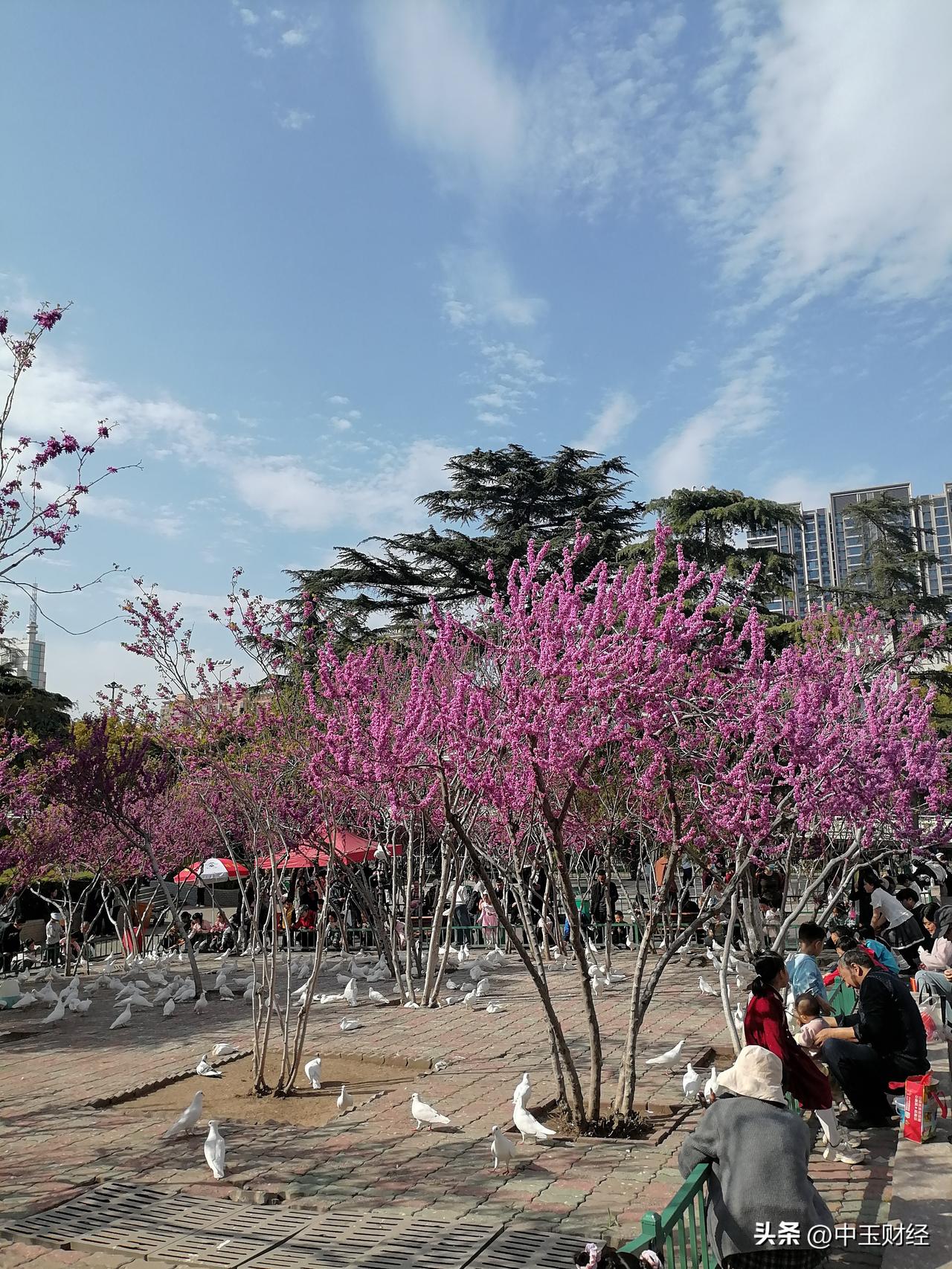拉开人与人之间距离的并非全然是时间。时间宛如佳酿，越陈越香，然而它并非决定人与人