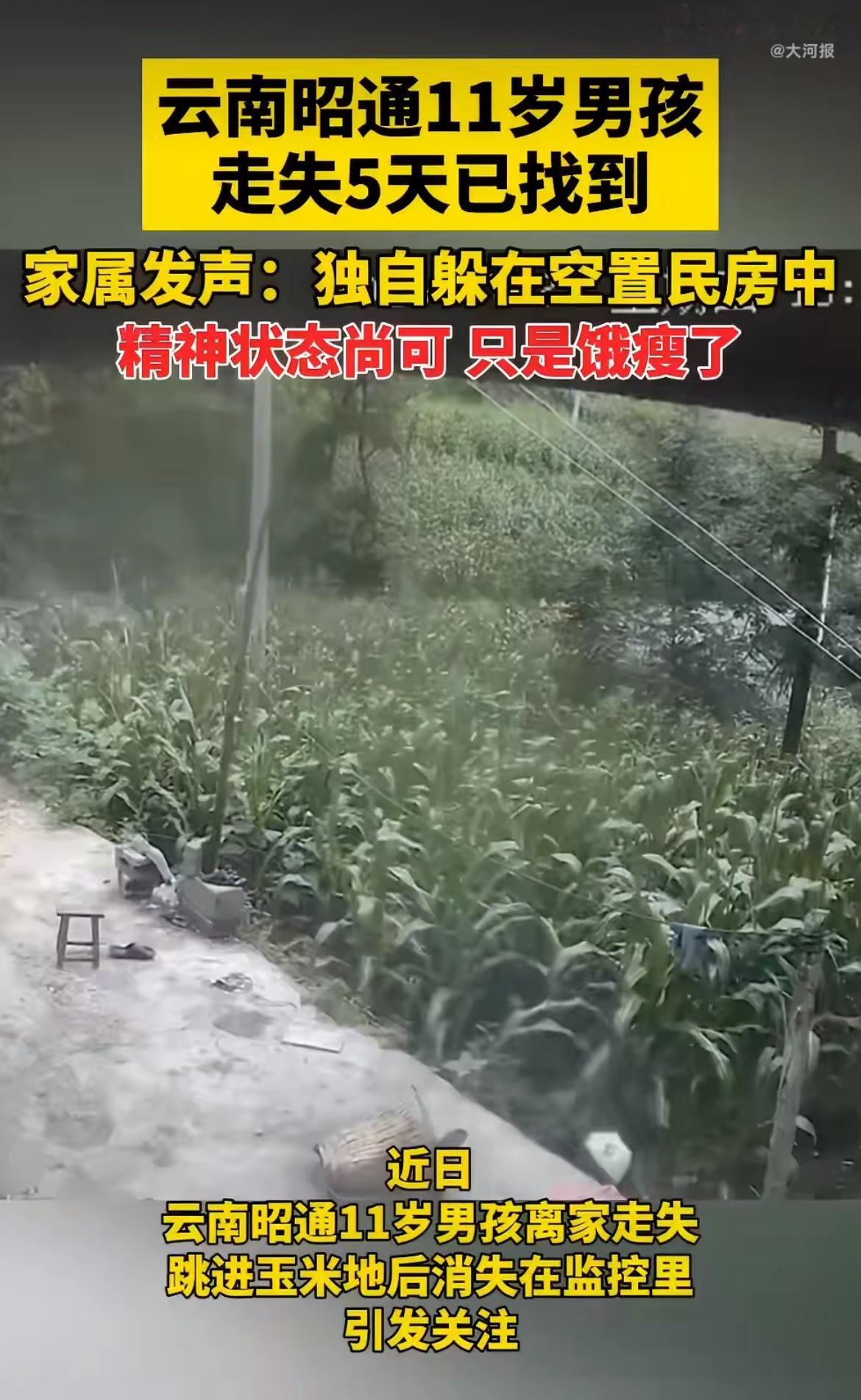 “真是人小胆子大！”11岁娃挨骂后闹脾气离家出走，全家老小加上热心邻居疯找5天，