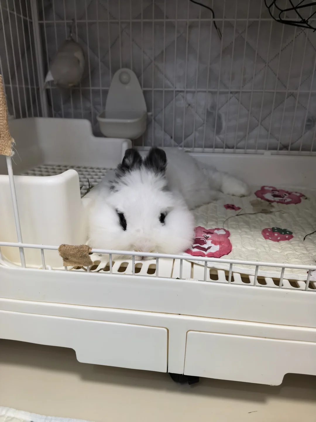 好像融化的奶油冰淇淋哦