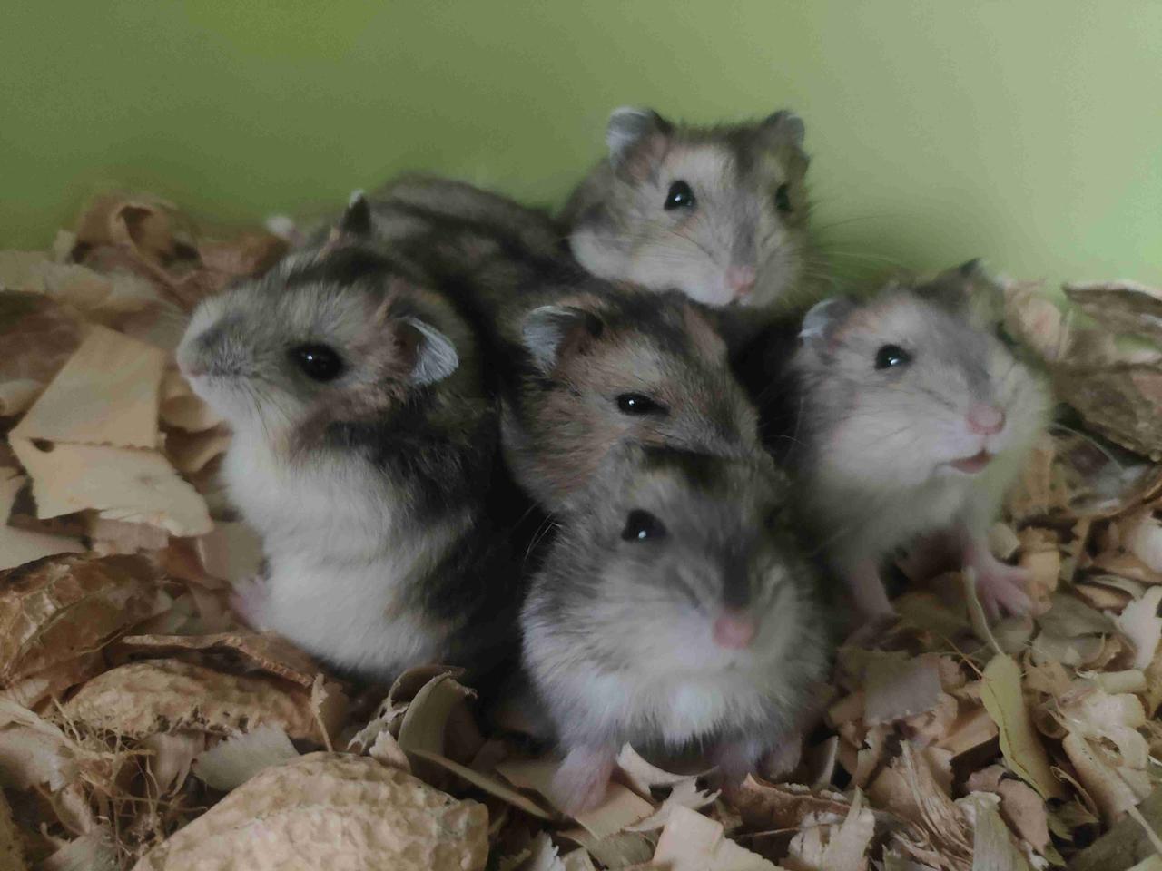 我的今日状态：💰期待暴富
我这里的天气：🌤️多云