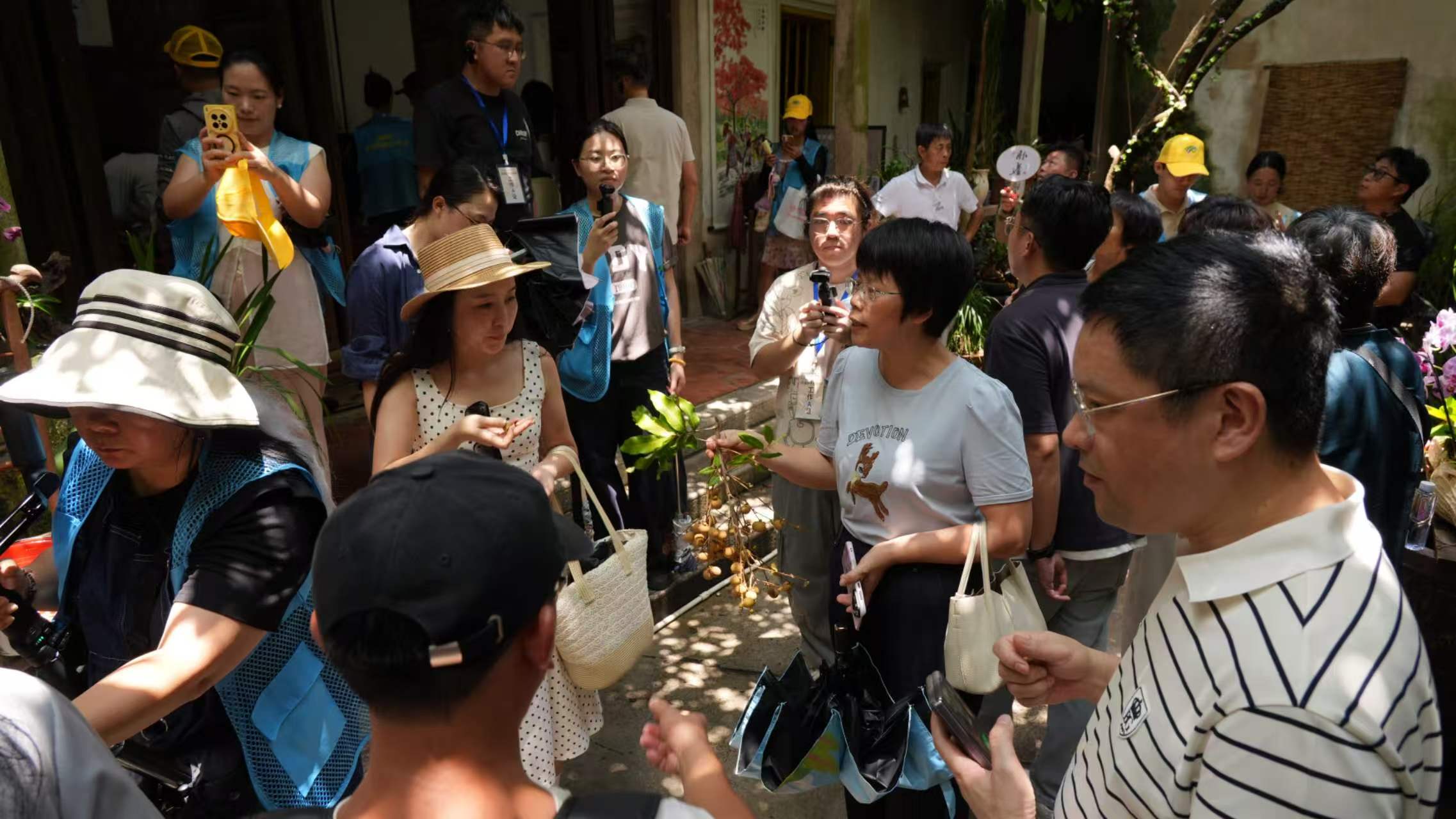 2026“读懂侨乡家国情・汕头篇”实践采风活动如火如荼开展。一众走访嘉宾深入澄海